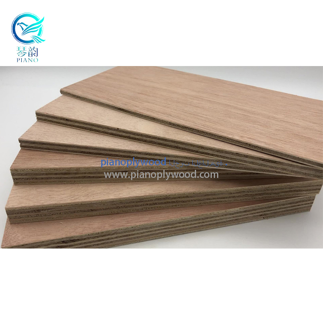 Maksymalna rozdzielczość 1220*2440مم​ / 900*2140مم