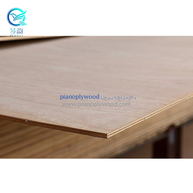 ألواح أبلكاش قشرة 3 / 6 ملم