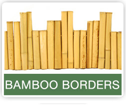 Bamboo Borders