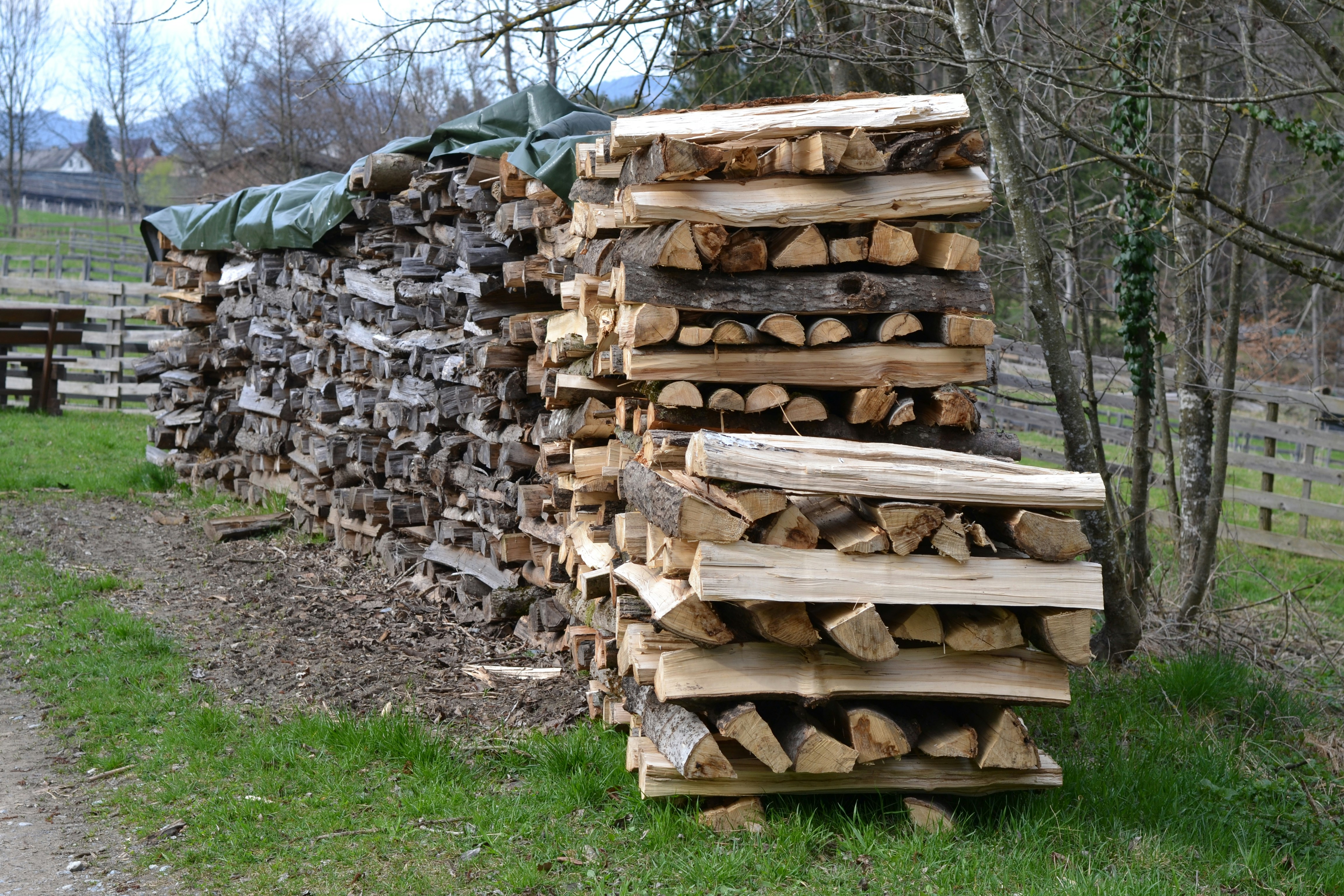 Седмичен преглед на пазара на дървен материал в Северна Америка: Стабилното търсене посреща ценовия натиск при промяна на динамиката на предлагането